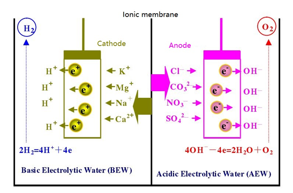 Agua electrolizada débilmente alcalina